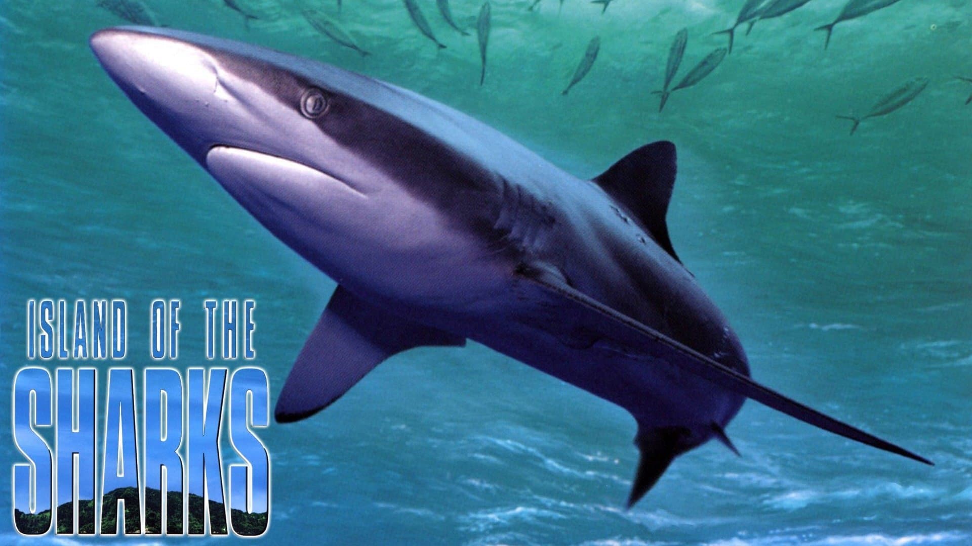 Island of the Sharks backdrop
