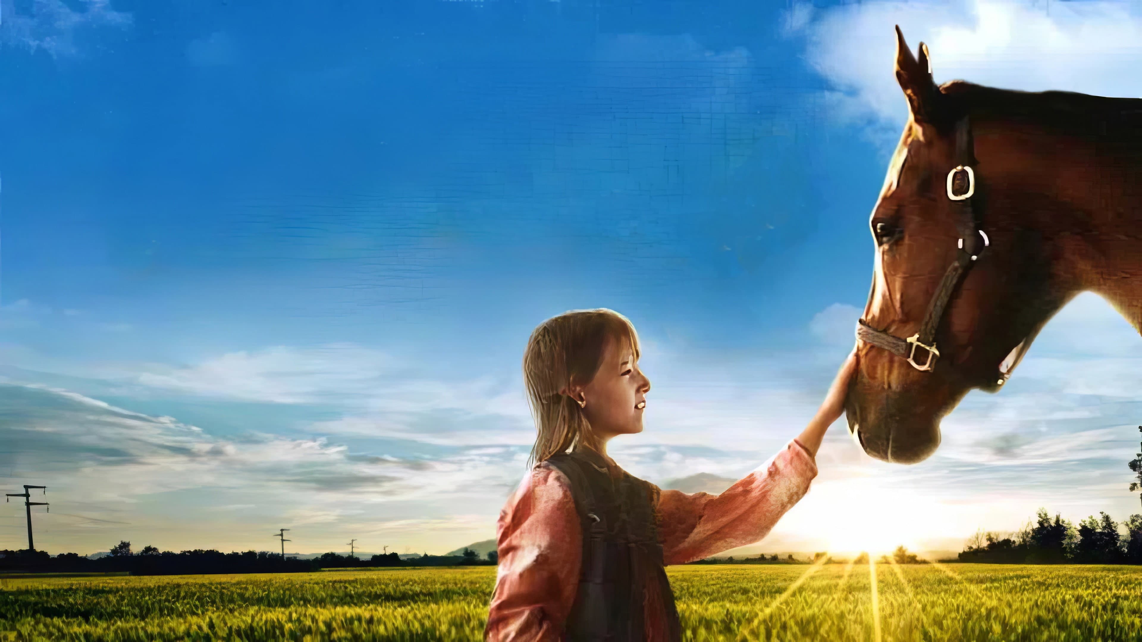 A Horse for Danny backdrop