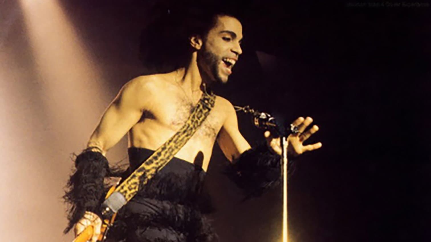 Prince in Tokyo '90 Nude Tour backdrop