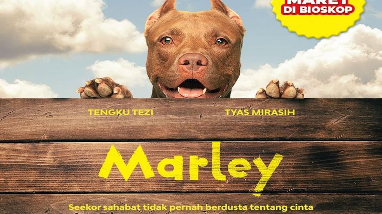 Marley backdrop