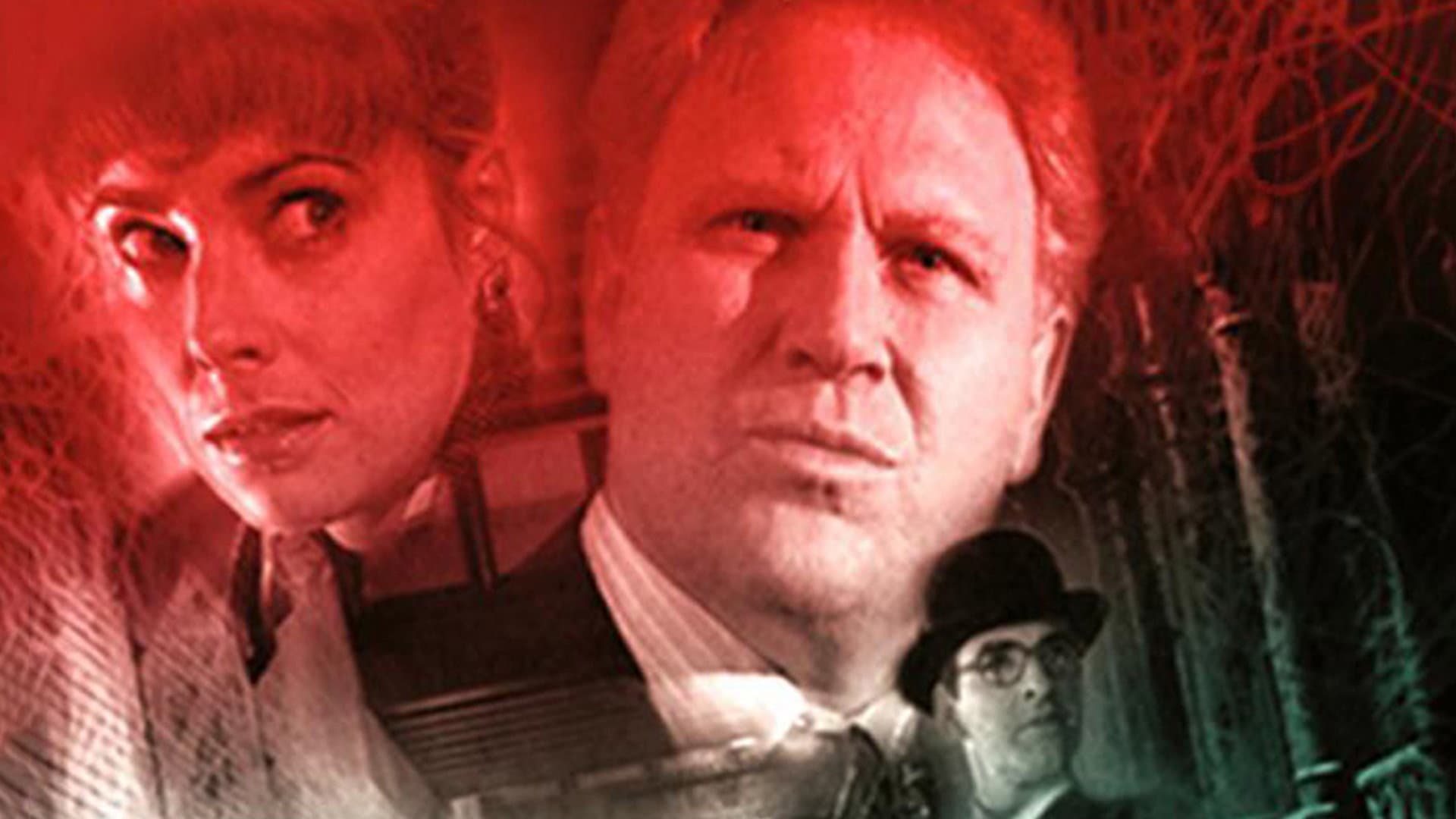 The Stranger: In Memory Alone backdrop
