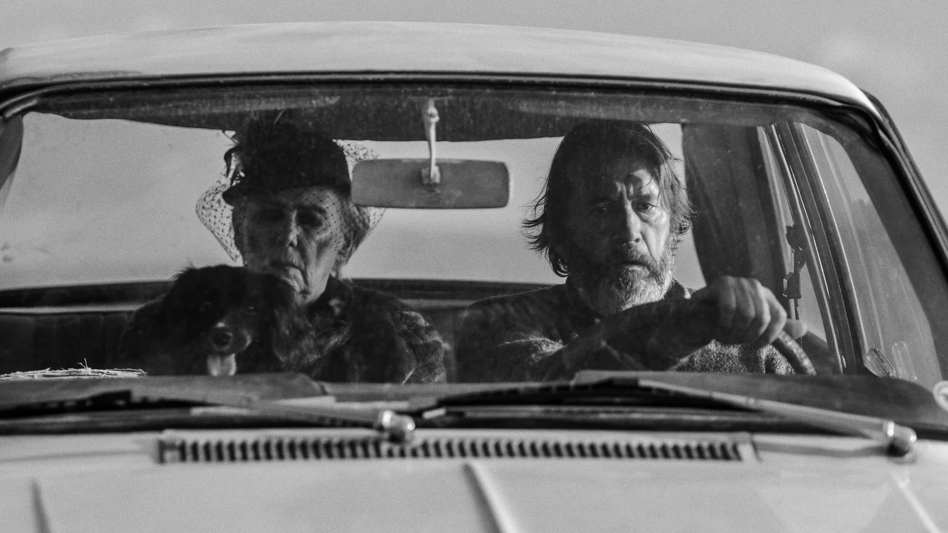 Driving Mum backdrop