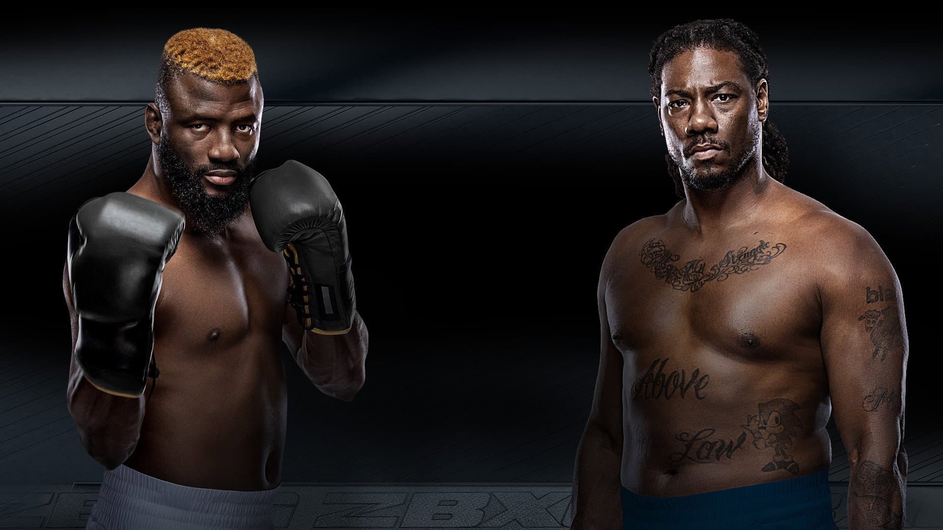 Zuffa Boxing 03 backdrop