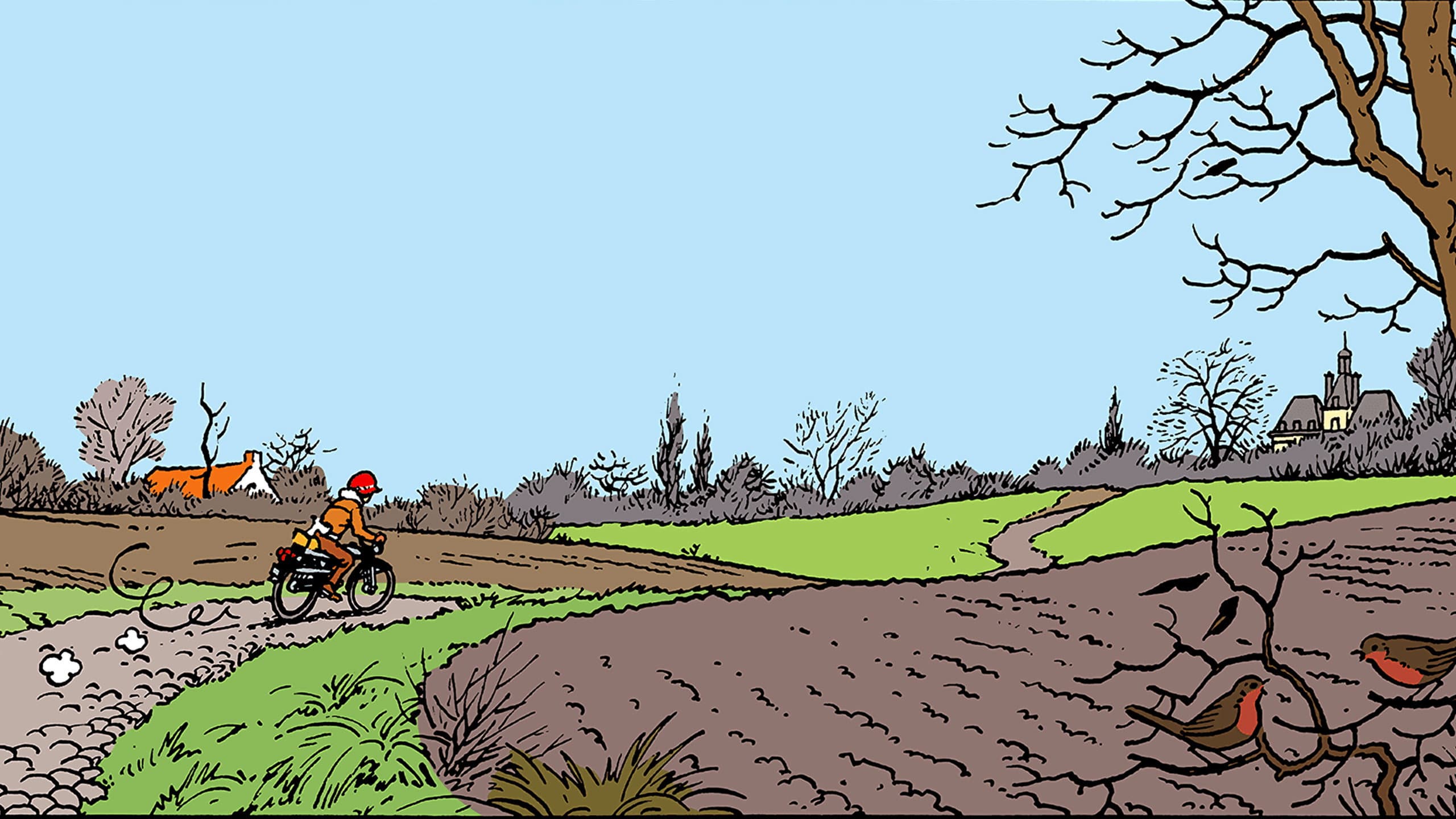 Tintin and the Picaros backdrop