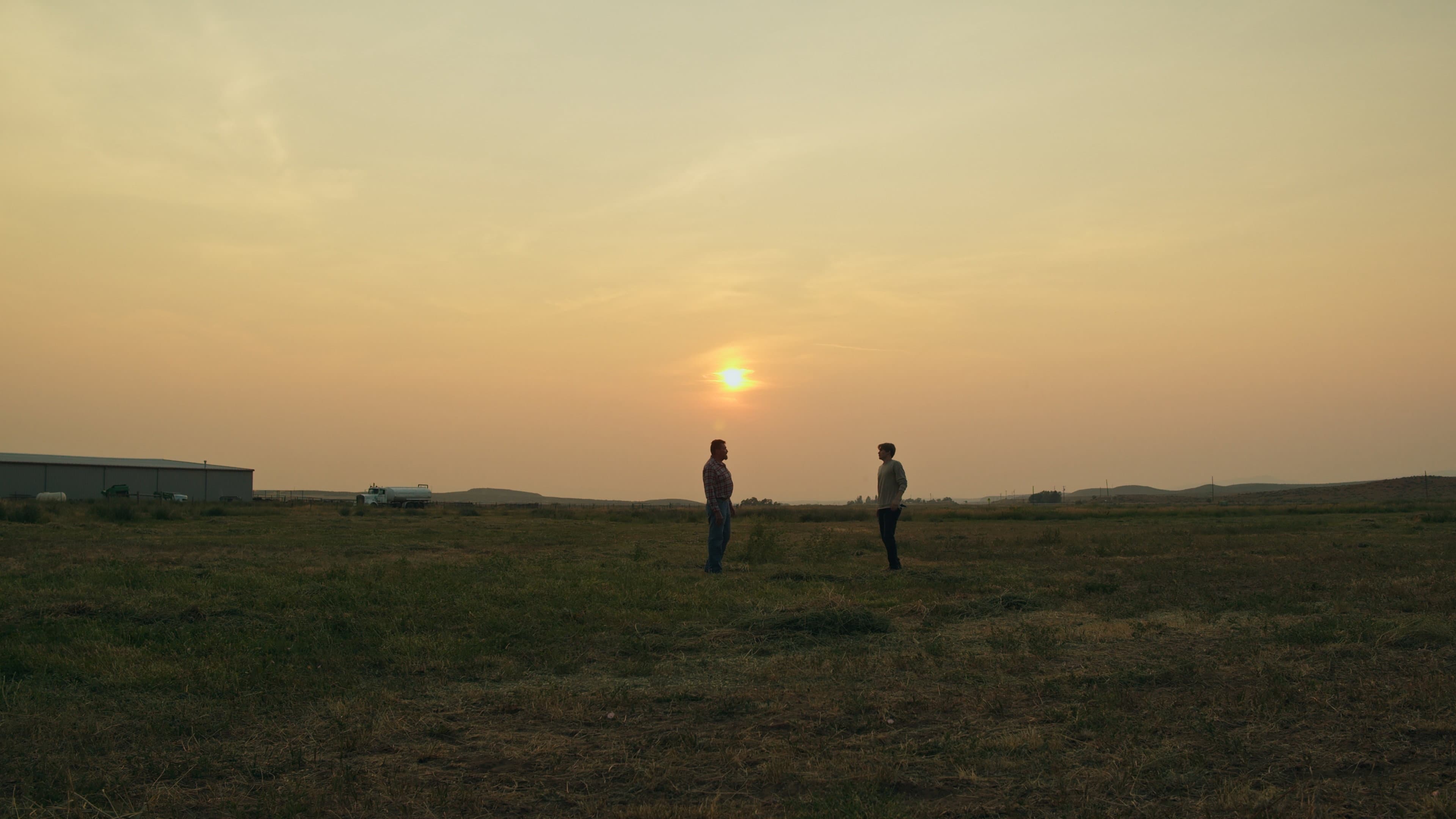 The Summer Field backdrop