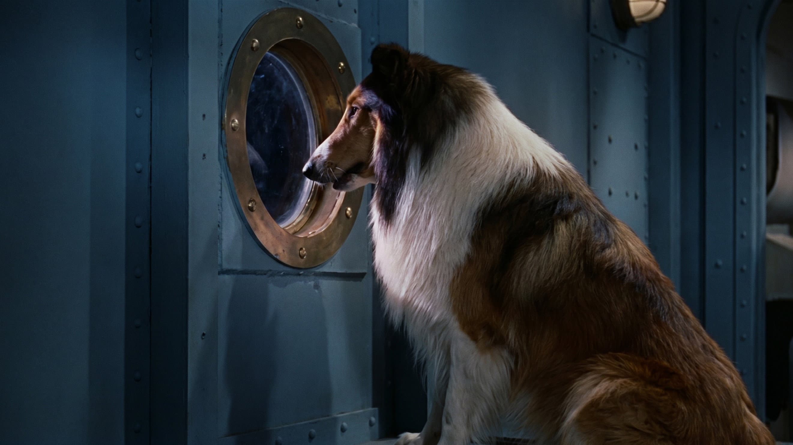 Lassie, the Voyager backdrop