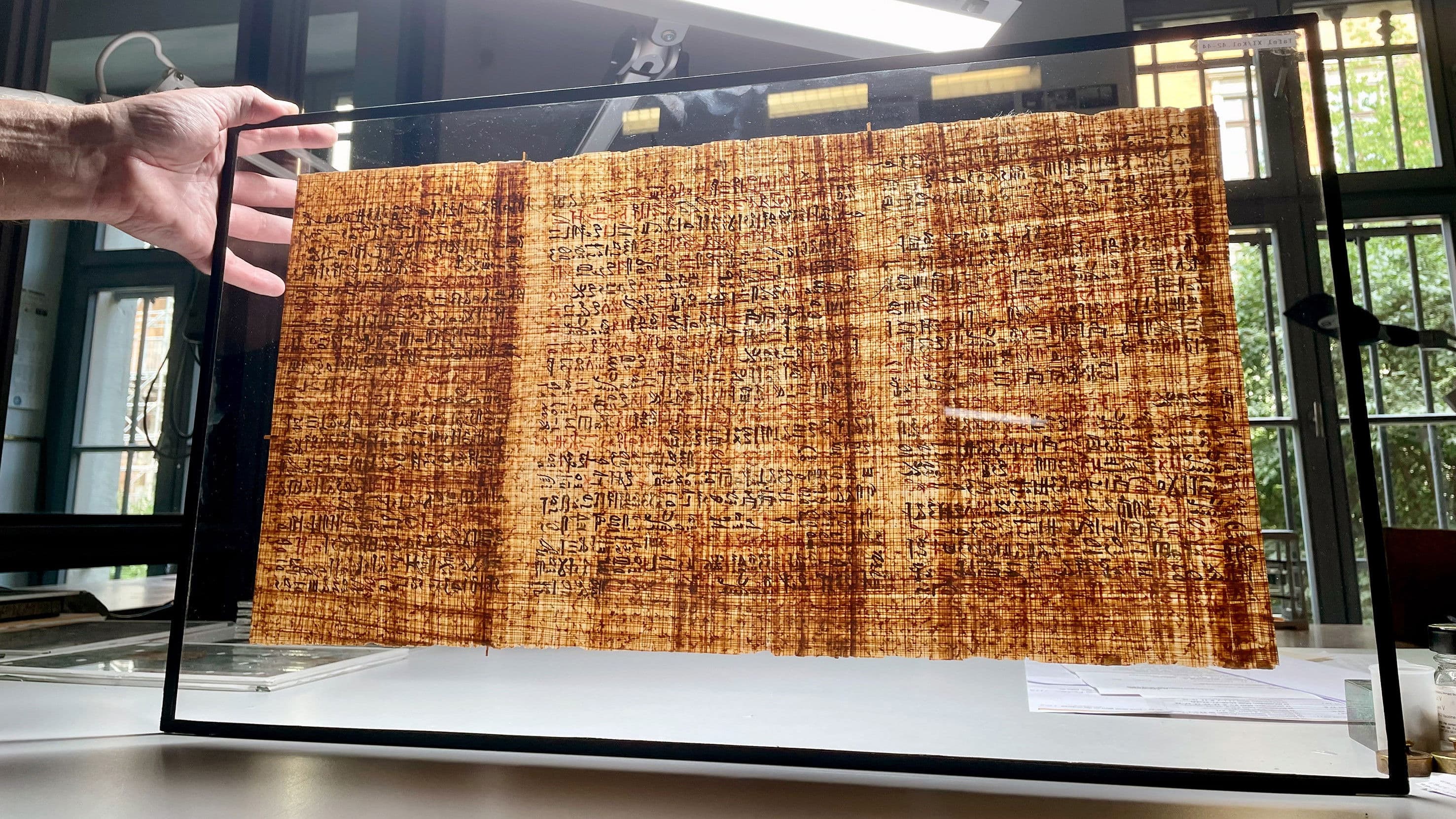 Magie & Medizin - Die Geheimnisse des Papyrus Ebers backdrop