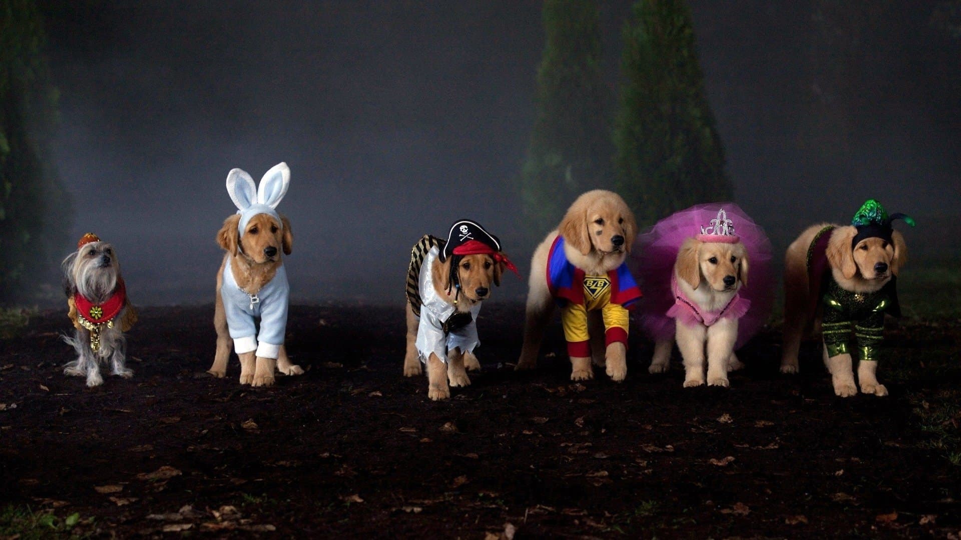 Spooky Buddies backdrop