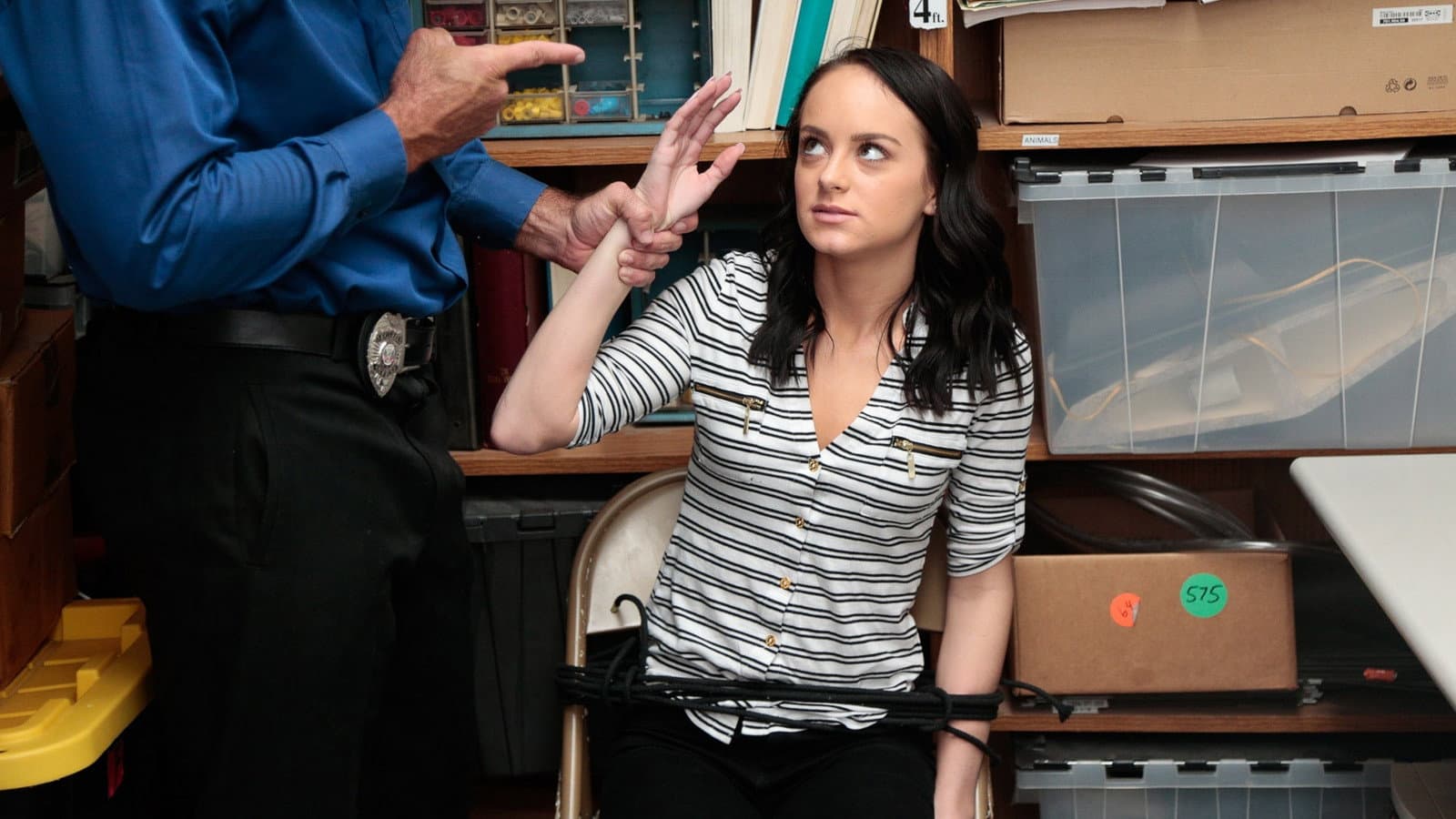 ShopLyfter 4 backdrop