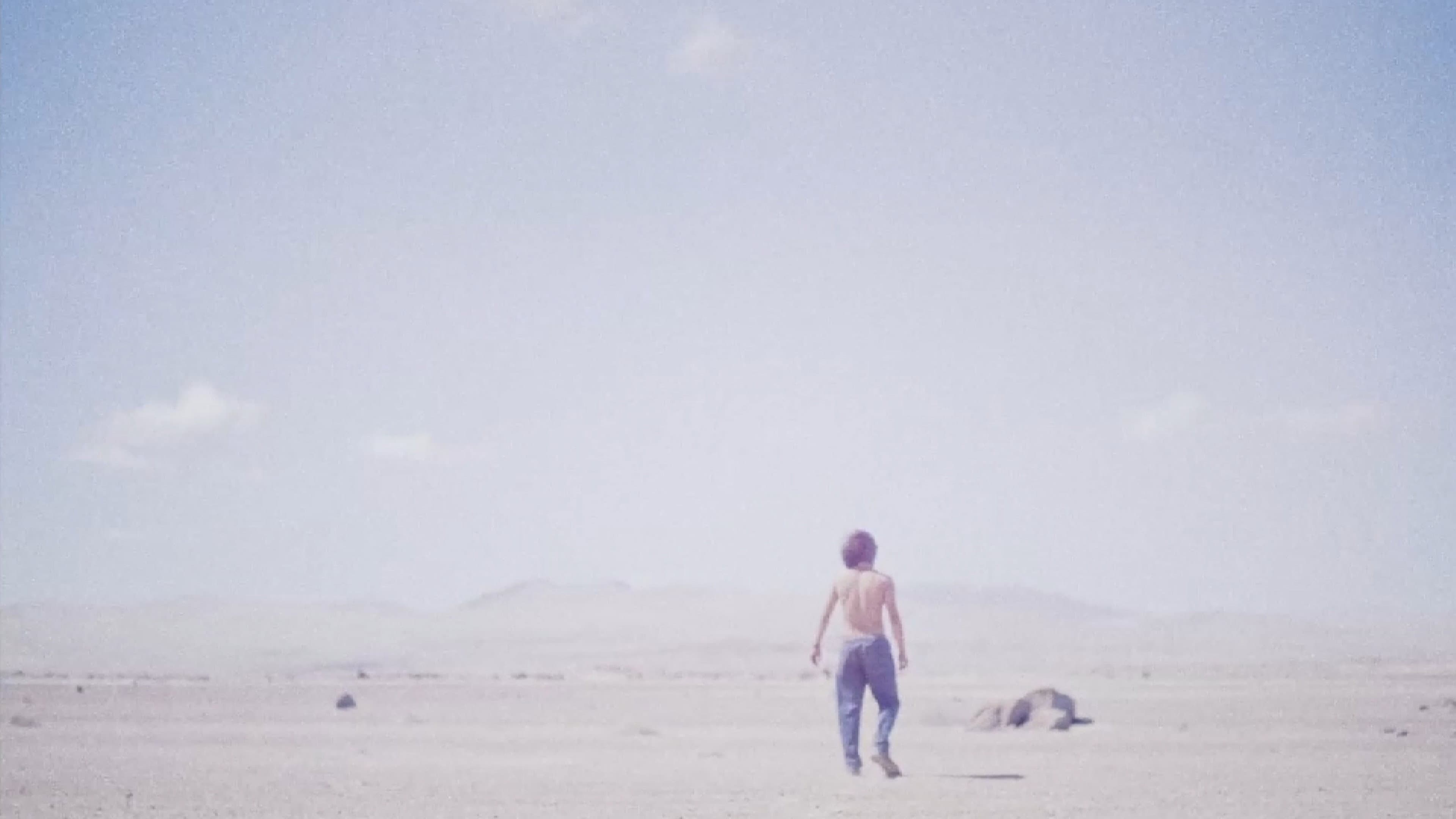 Desierto backdrop