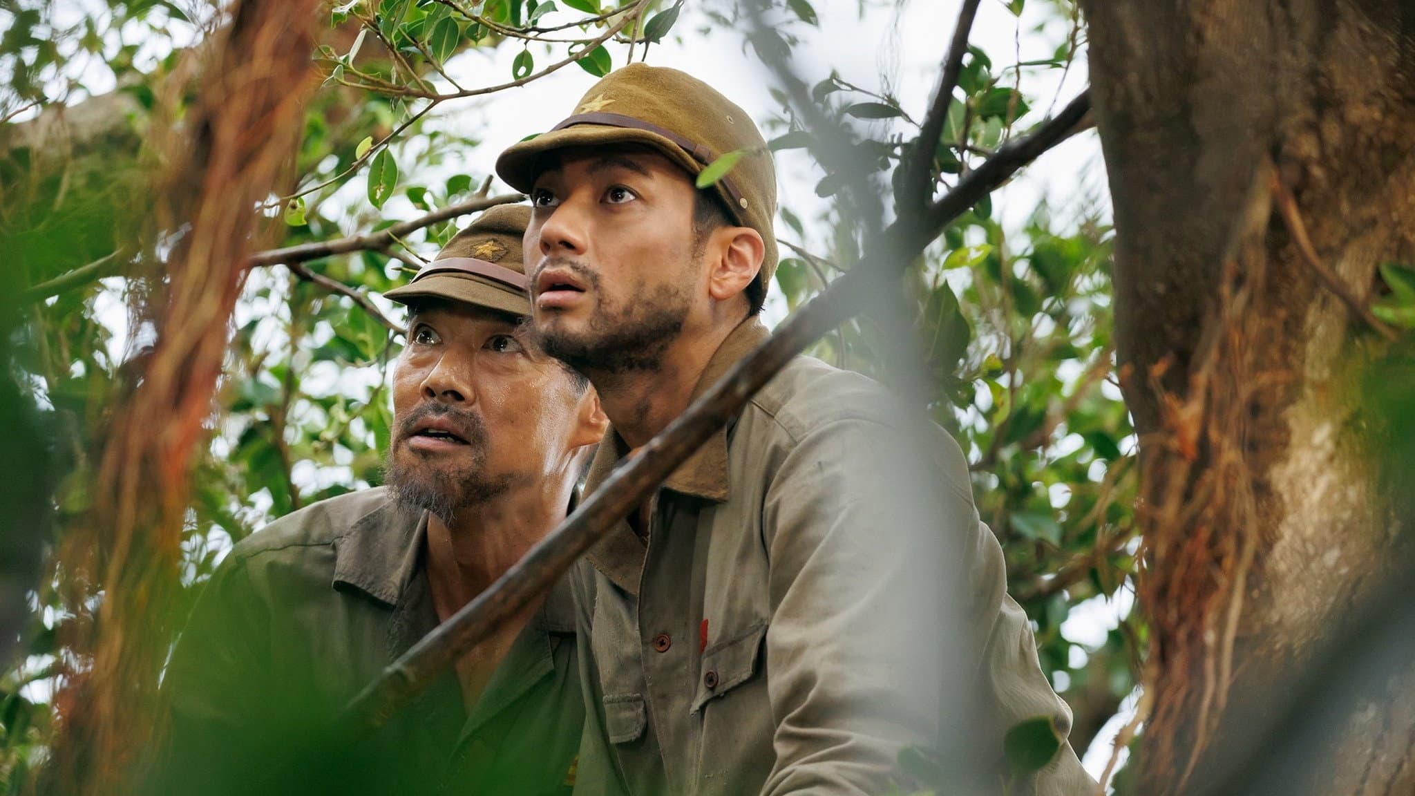 Army on the Tree backdrop