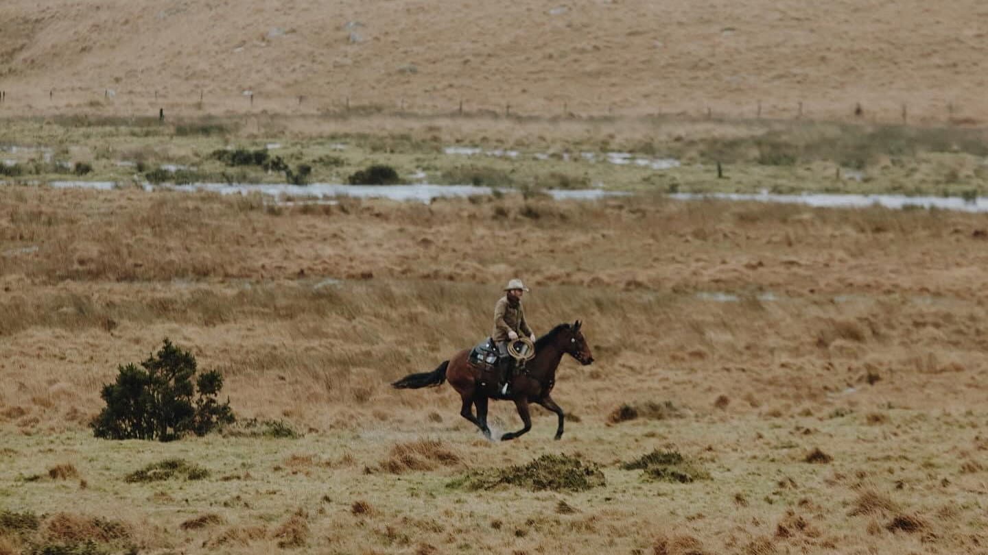 The Dartmoor Cowboy backdrop