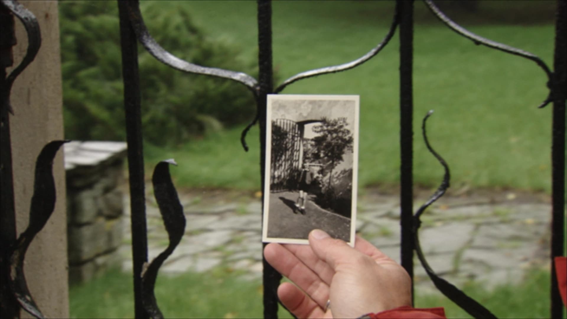 Hitler's Children backdrop