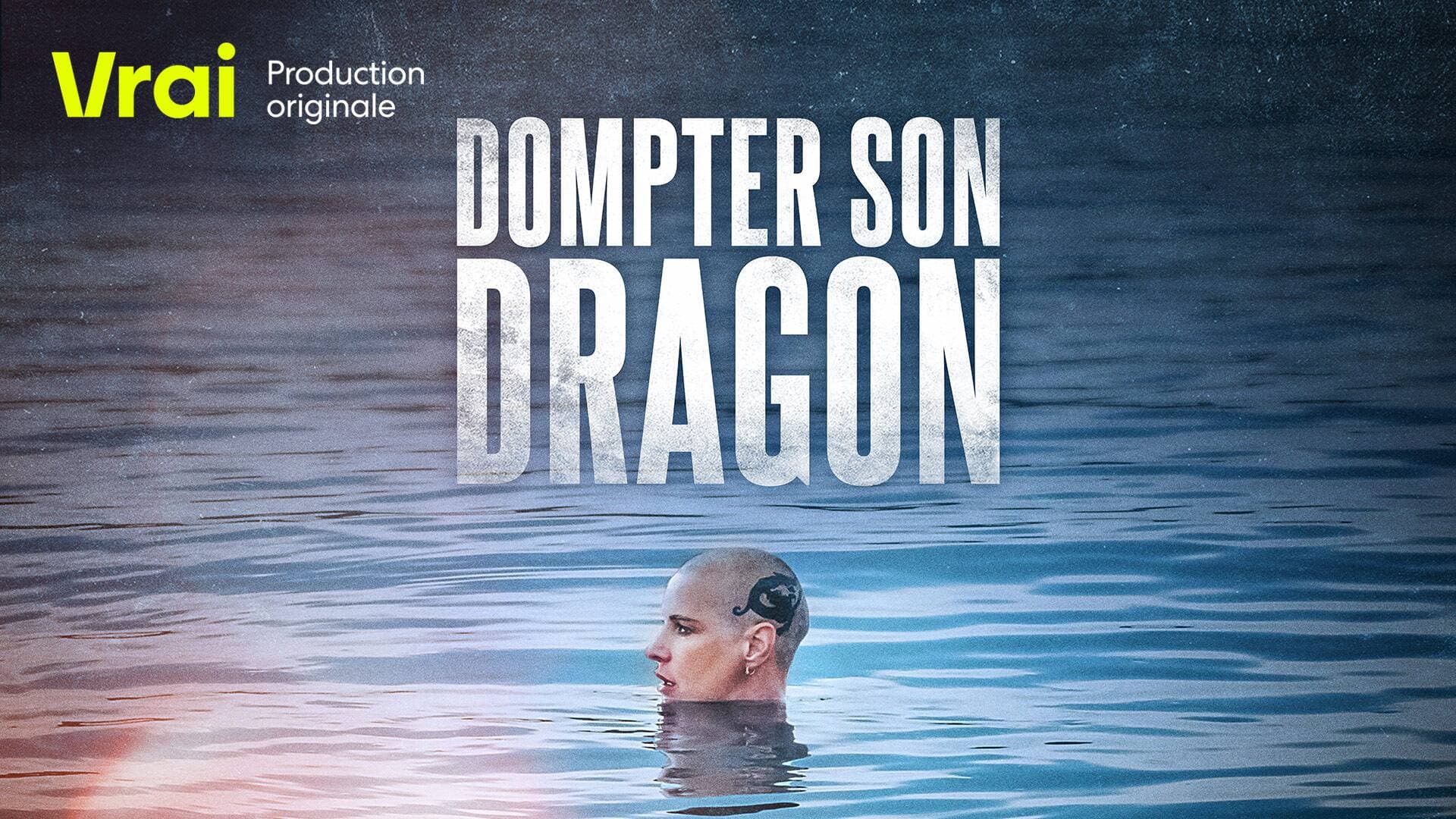Dompter son dragon backdrop