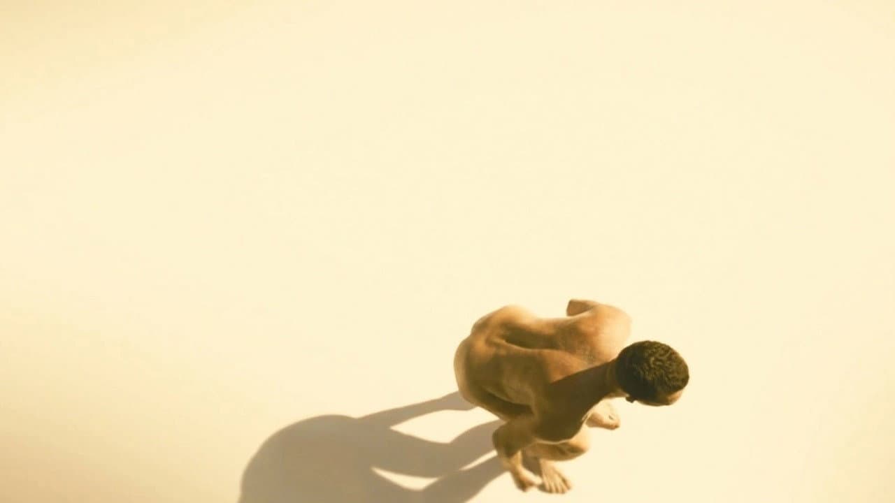 Moído backdrop