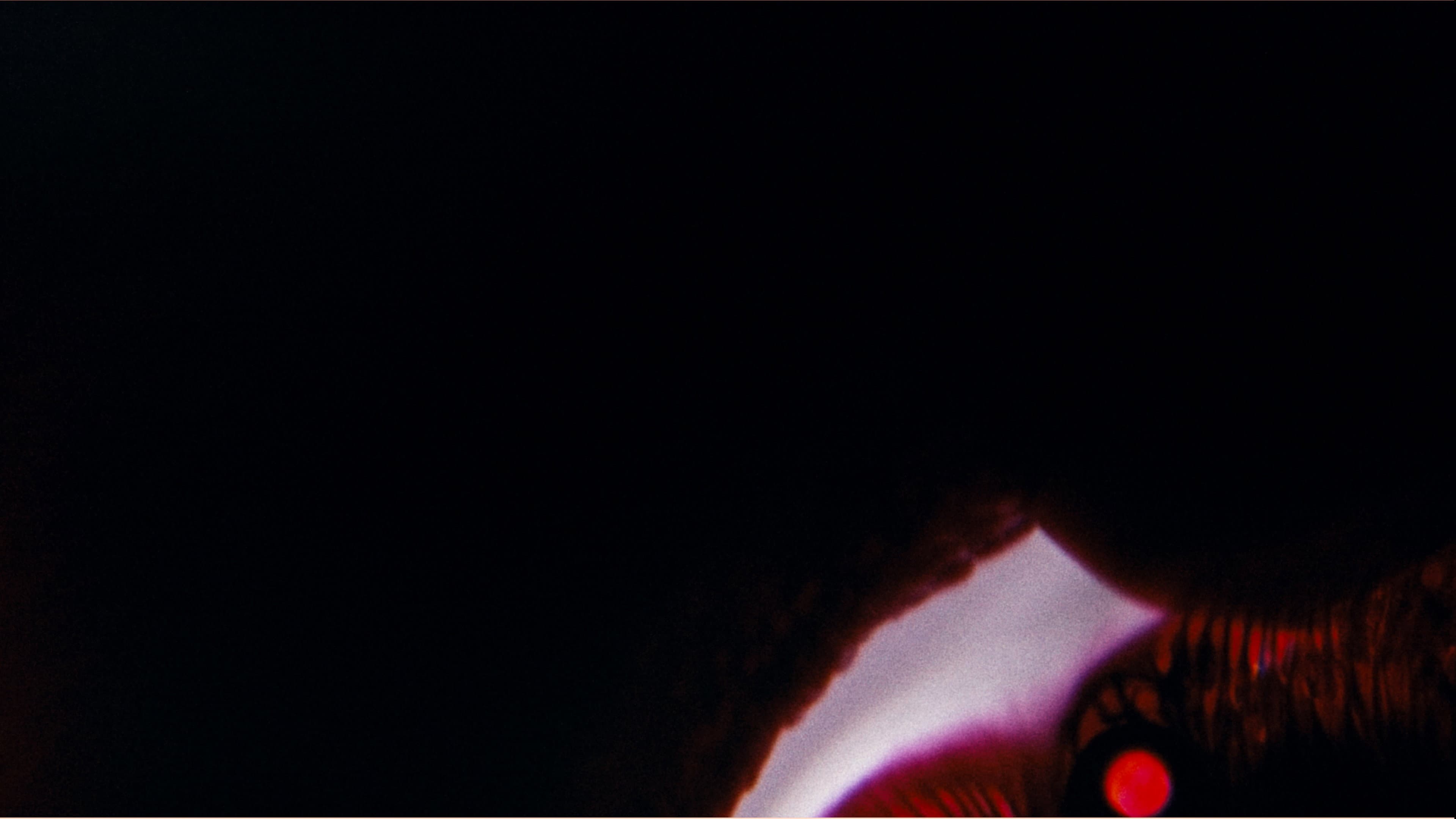 Bela Belara's A Vampire backdrop