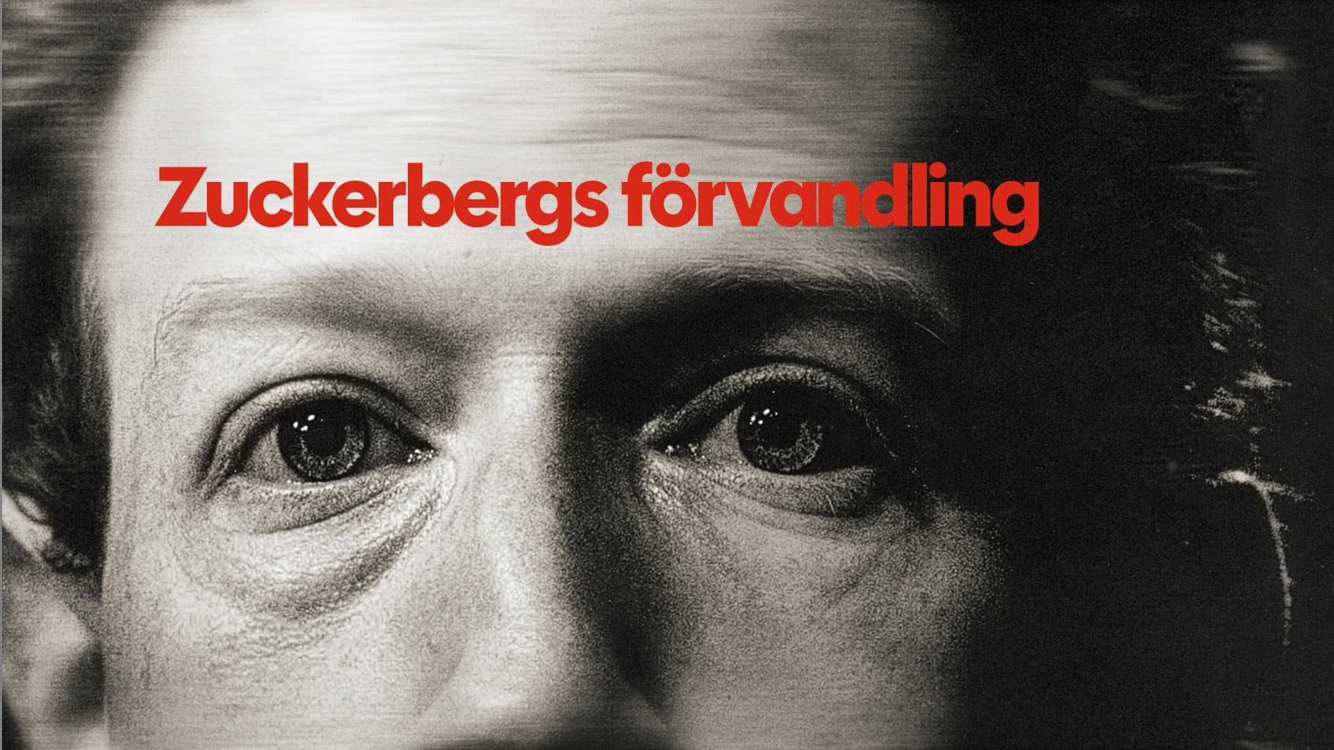 Zuckerberg, From Geek to Guru backdrop