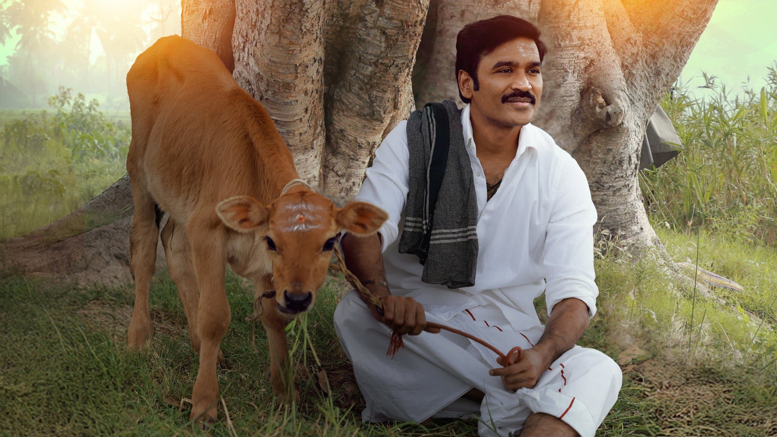 Idli Kadai backdrop