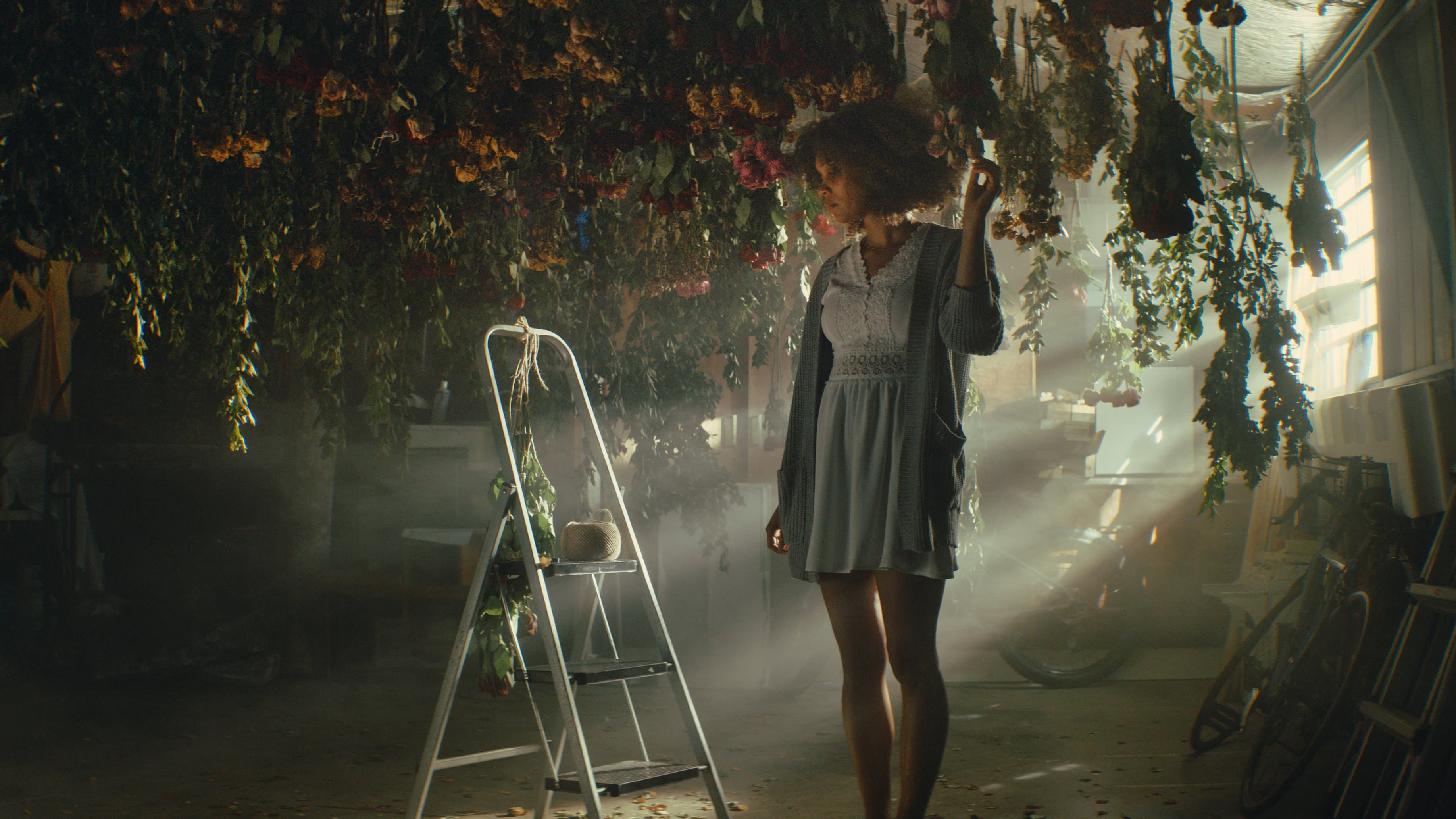 The Wilted Rose backdrop