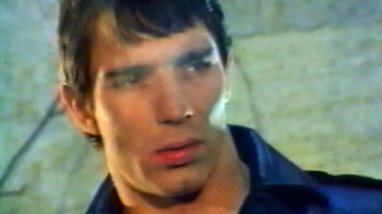 Mondo Homo: A Study of French Gay Porn in the '70s backdrop
