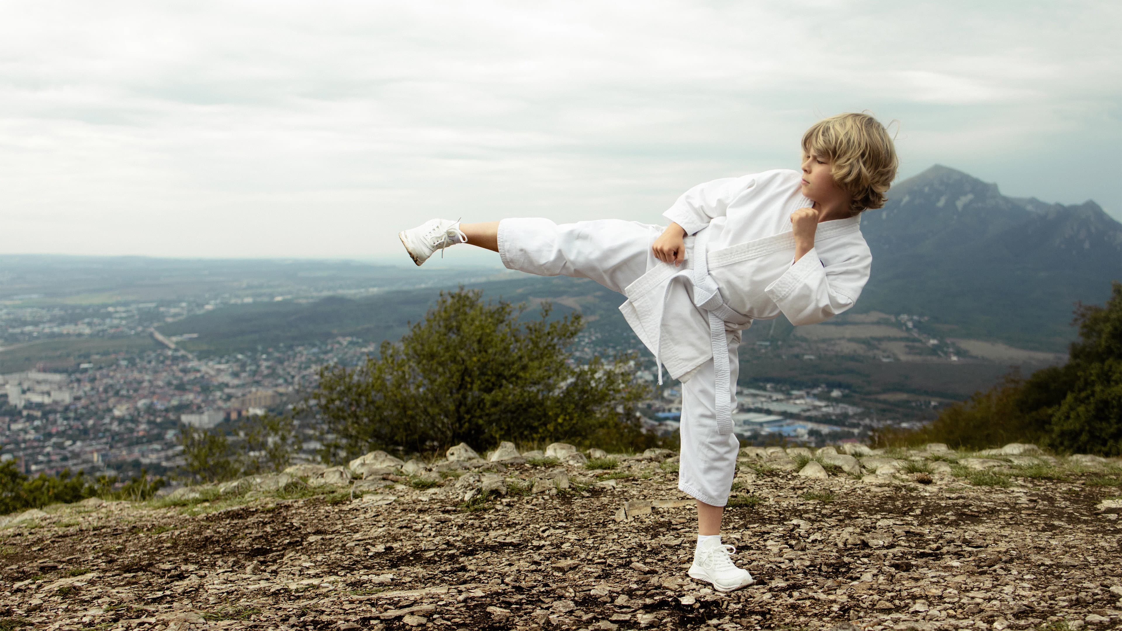 The Next Karate Kid backdrop