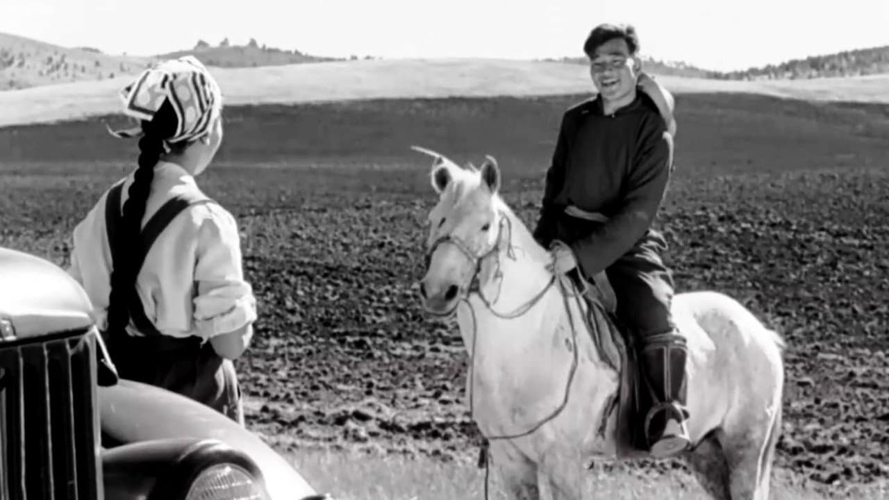 Wish I Had a Horse backdrop