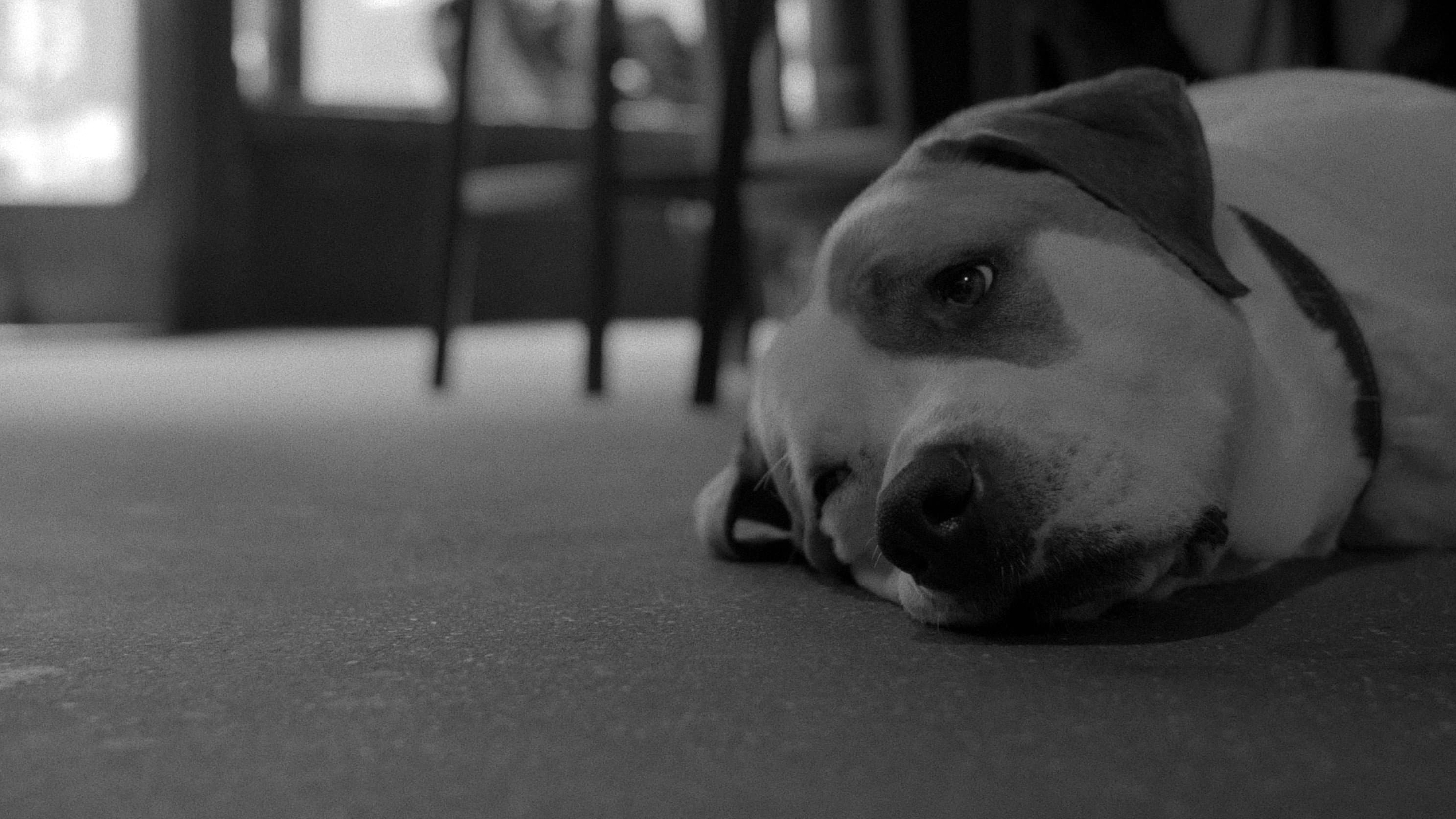 irregular backdrop