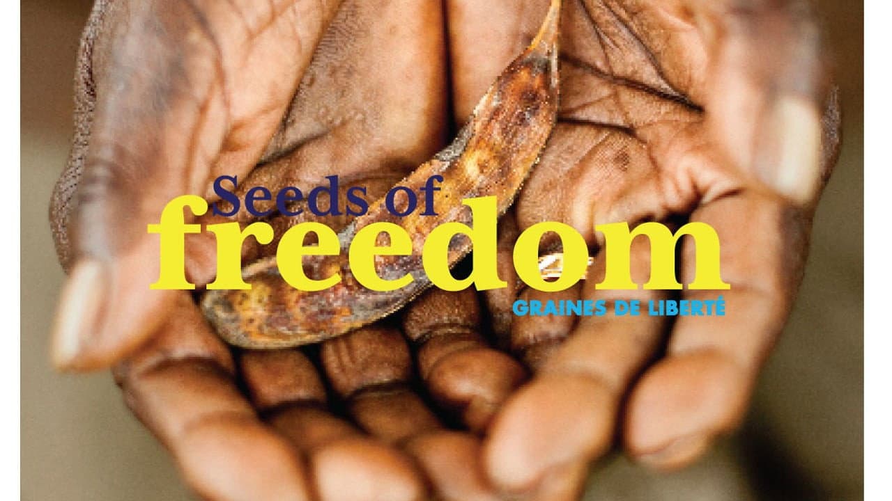 Seeds of Freedom backdrop
