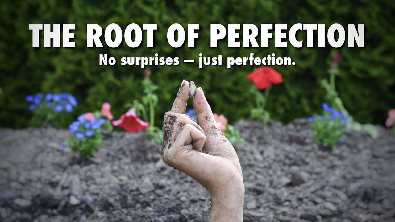 The Root of Perfection backdrop