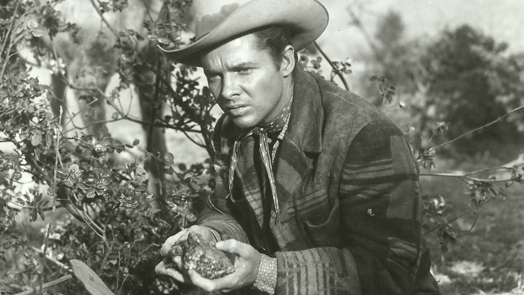 Tumbleweed backdrop