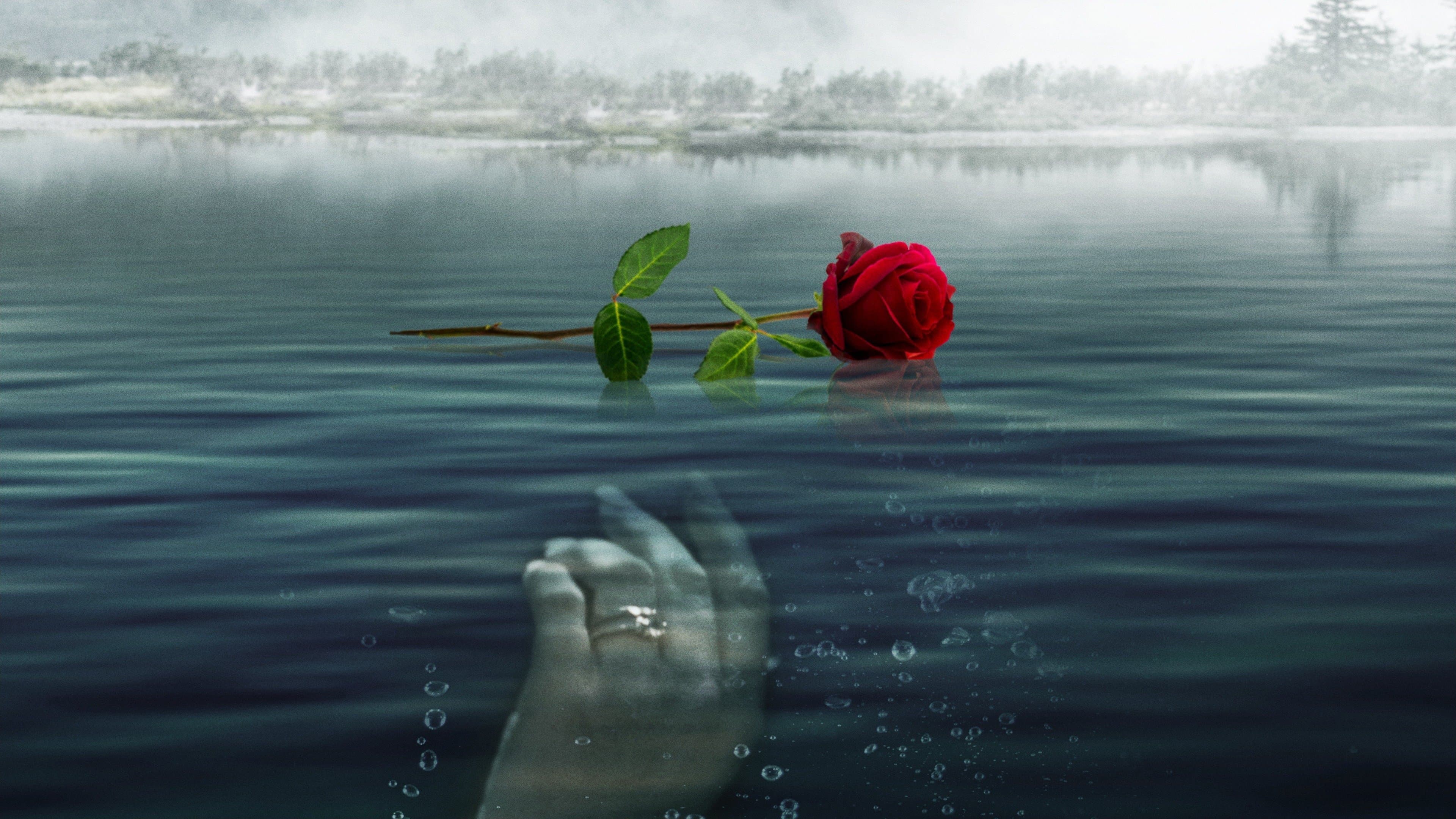 A Rose for Her Grave: The Randy Roth Story backdrop