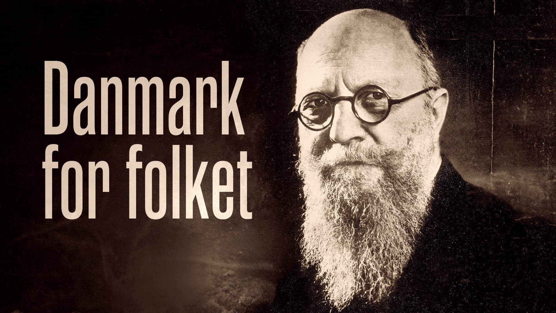 Danmark for Folket backdrop