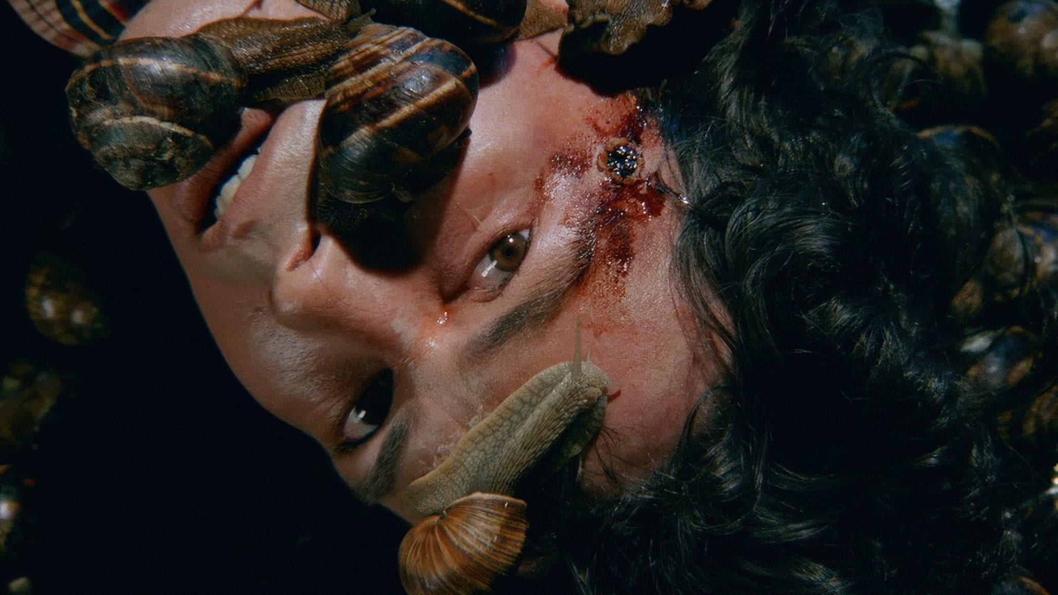 Snails in the Head backdrop