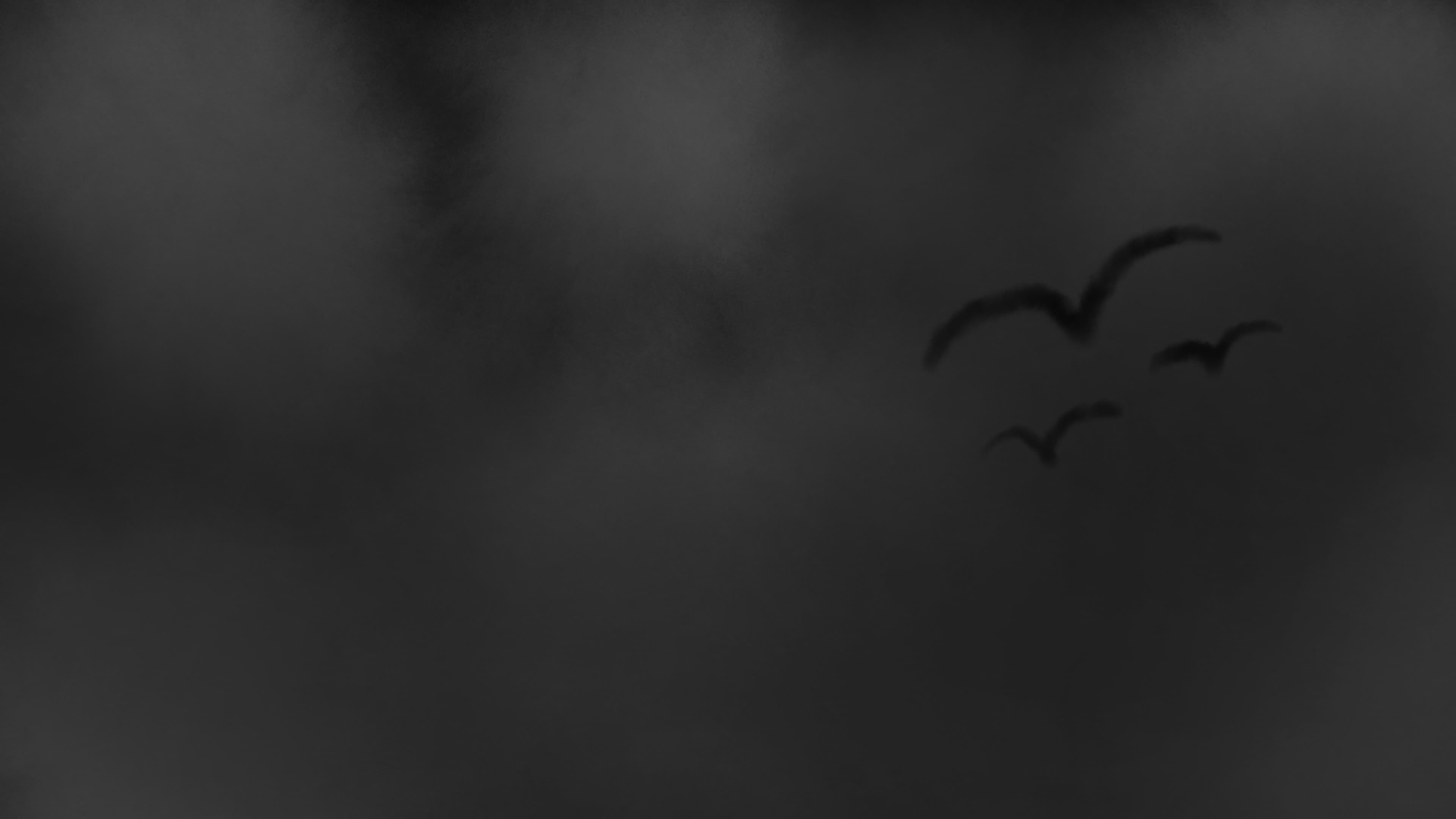 The Grudge backdrop
