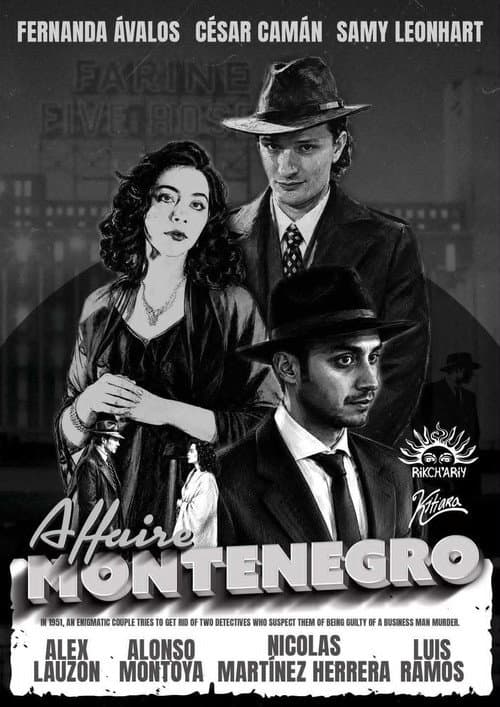 The Montenegro Affair