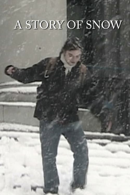 A Story of Snow