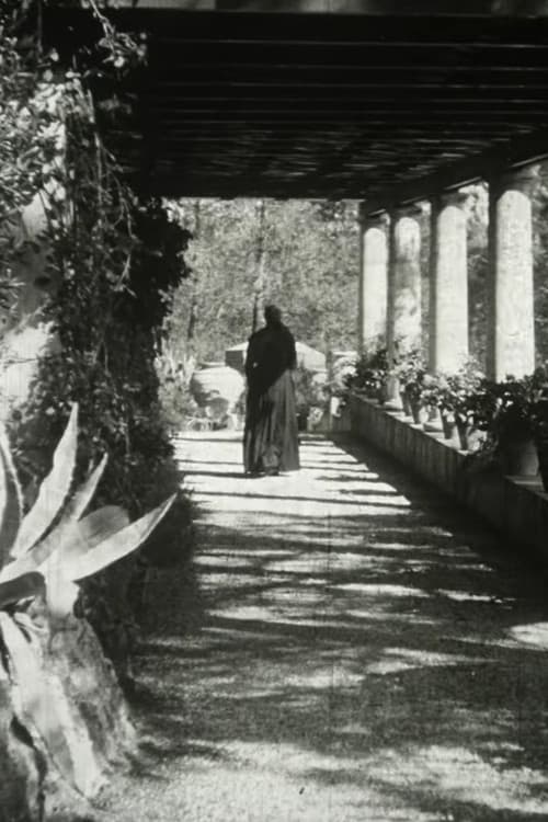 The Servant