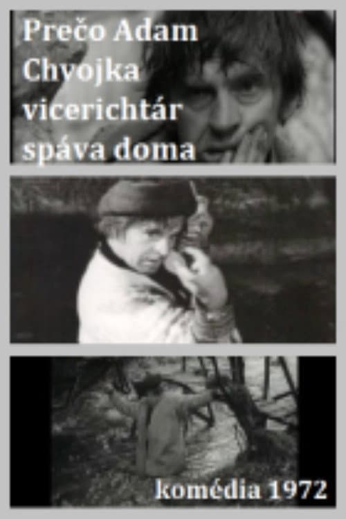 Adam Chvojka vicerichtár