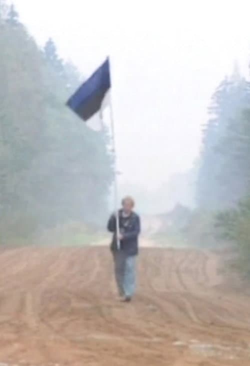 The Baltic Way