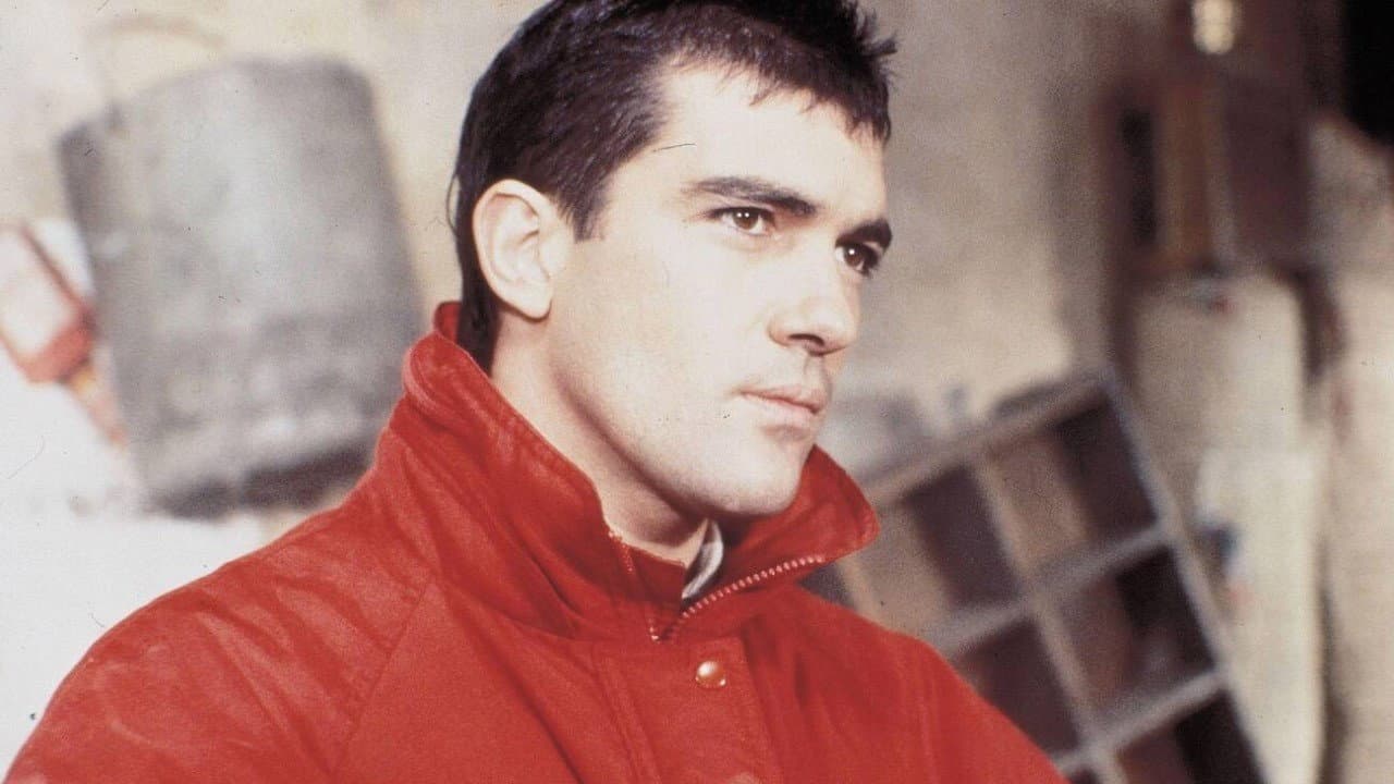The White Dove backdrop
