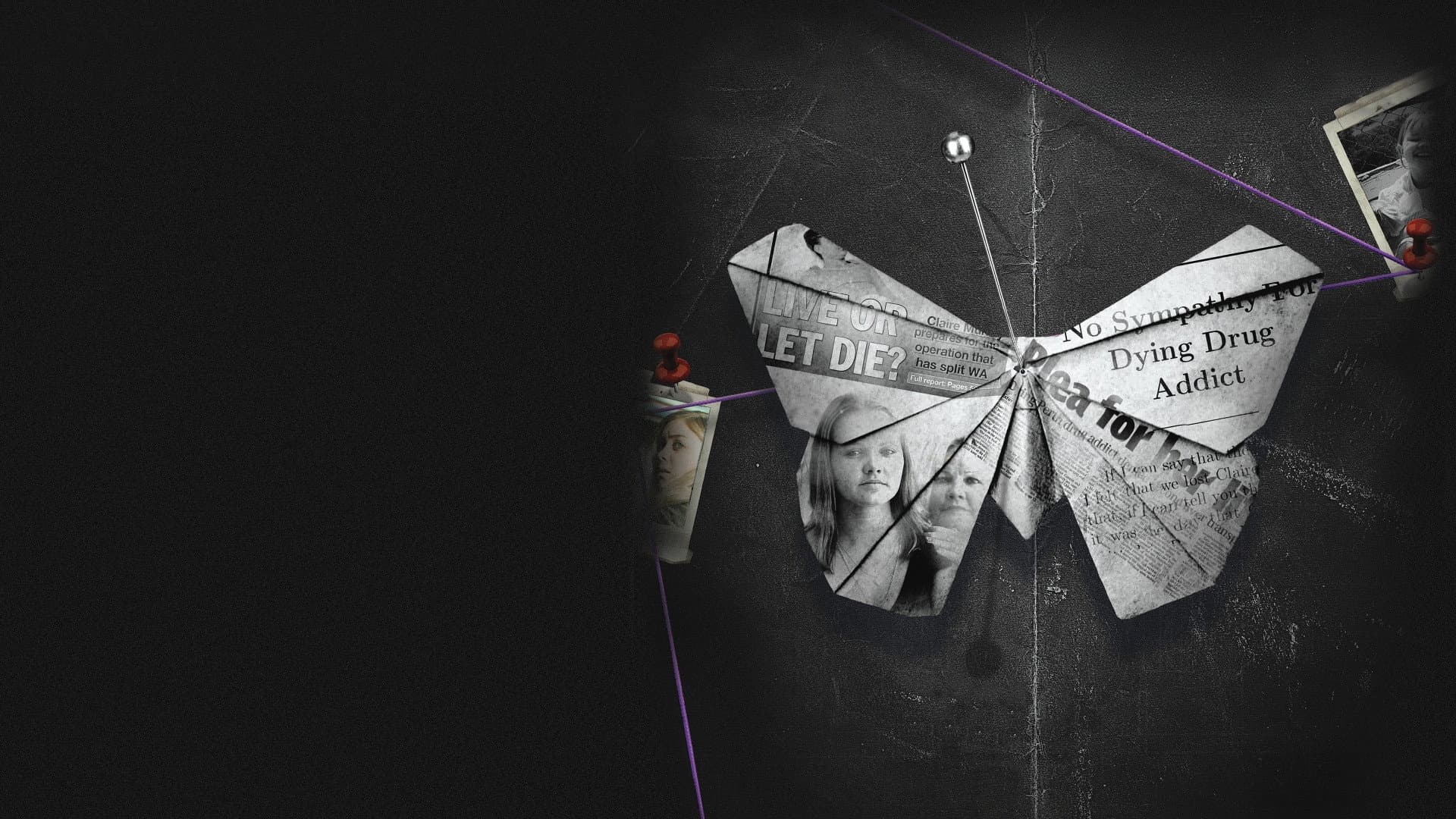 Wild Butterfly backdrop