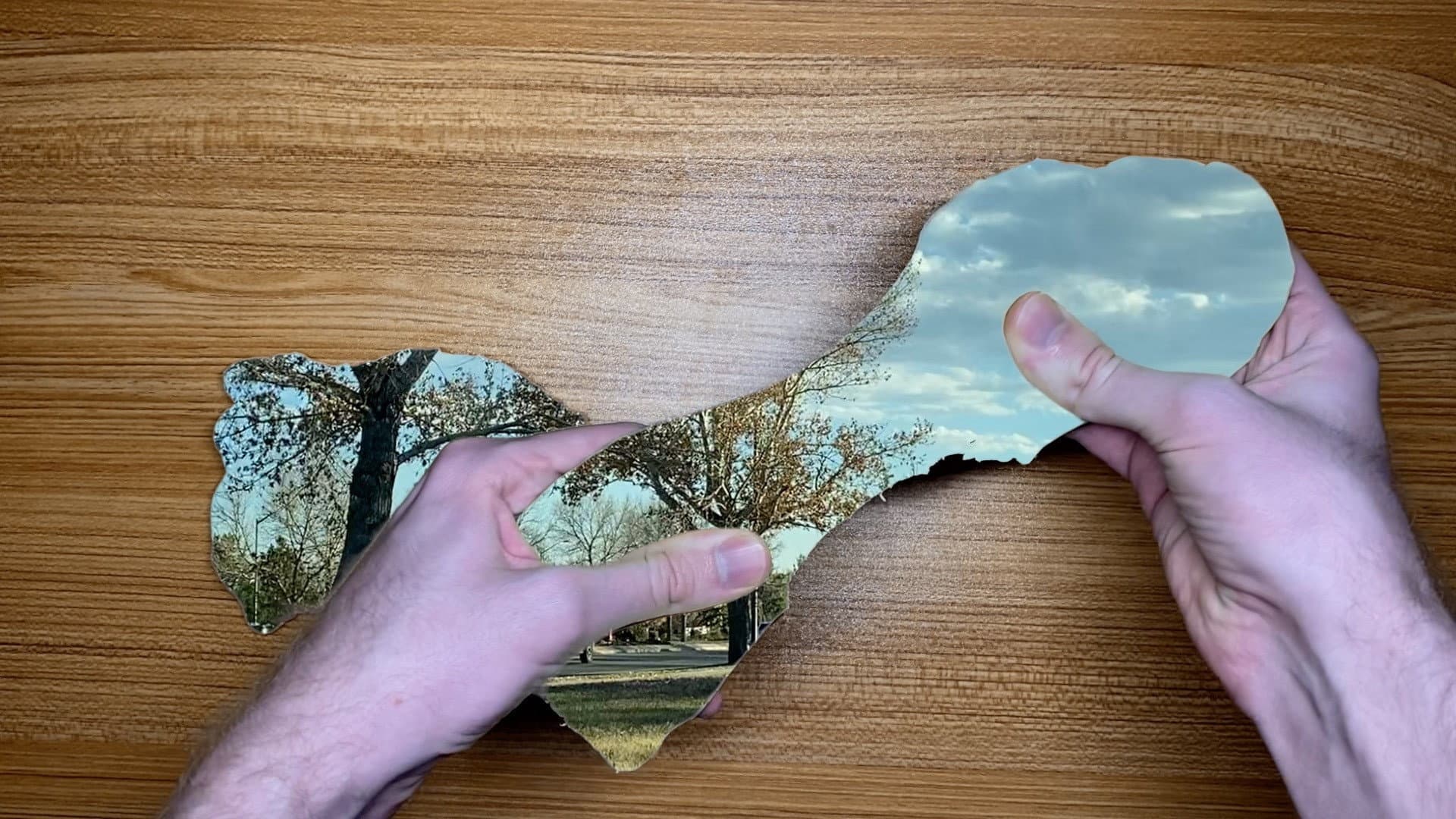 The World in Our Hands backdrop
