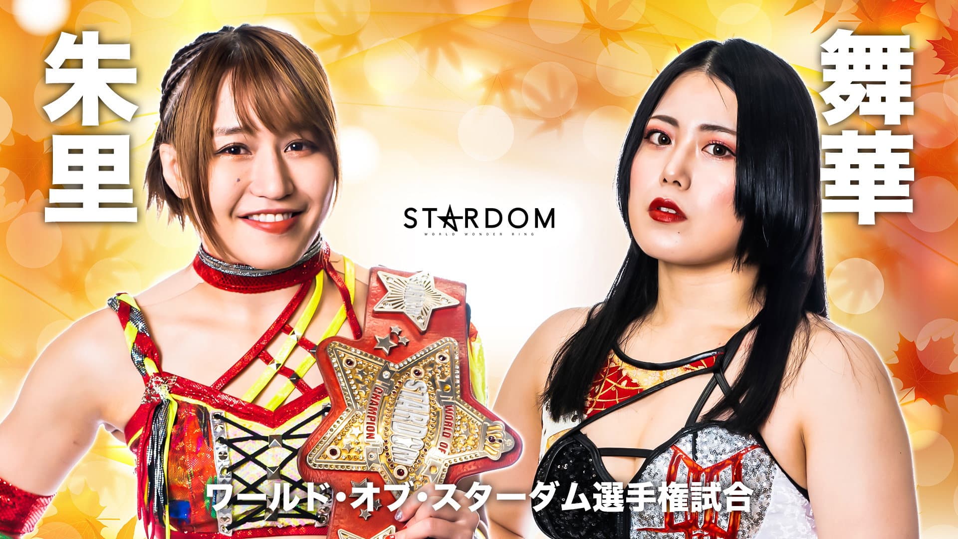 Stardom Hiroshima Goddess Festival ~Kinsai Stardom~ backdrop