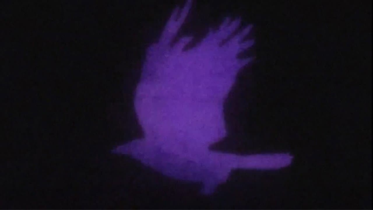 Edgar Allan Poe's The Raven backdrop