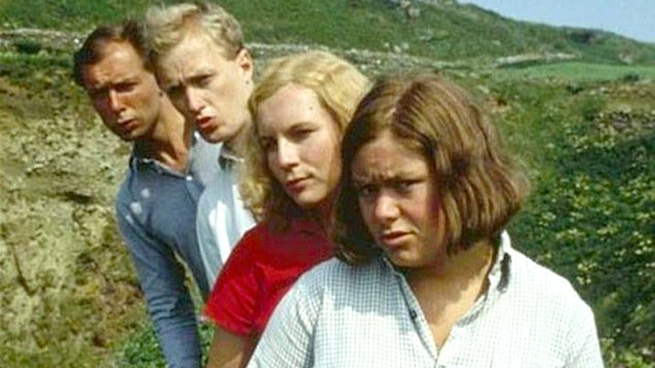 Five Go Mad in Dorset backdrop