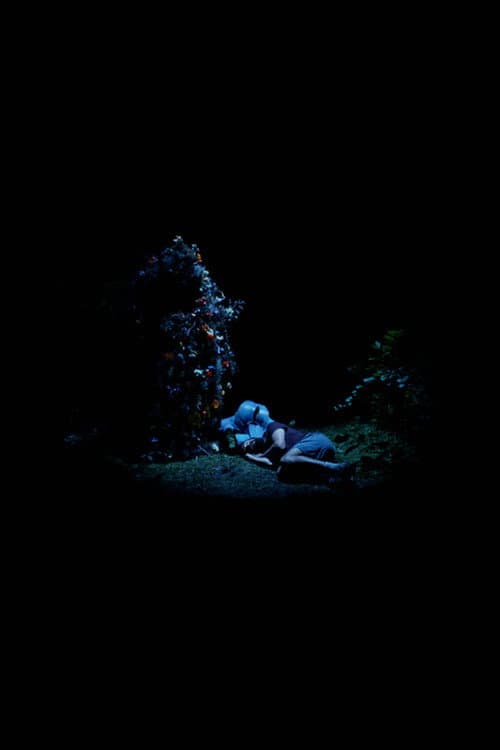 Blue Flowers